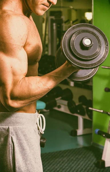 Entrenamiento de fuerza en el gimnasio —  Fotos de Stock