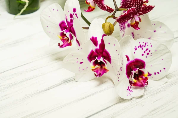 Ahşap beyaz zemin üzerine güzel çiçekler