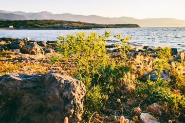 Bir deniz Tema güzel arka plan