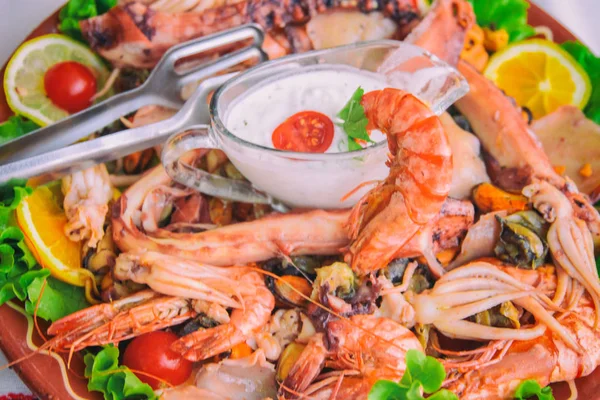 Great dish with seafood — Stock Photo, Image