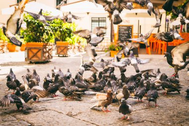 Muhteşem Akdeniz kıyılarında