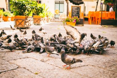 Muhteşem Akdeniz kıyılarında