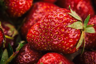 Sulu çilek, yaz berry.