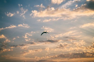 Güzel gün batımı, doğanın güzelliği.