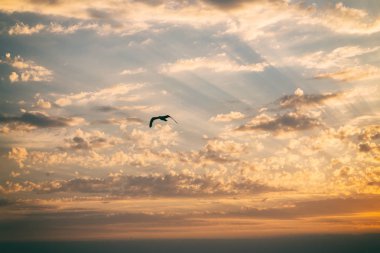 Güzel gün batımı, doğanın güzelliği.