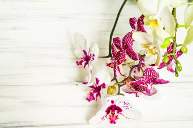Ahşap beyaz zemin üzerine güzel çiçekler