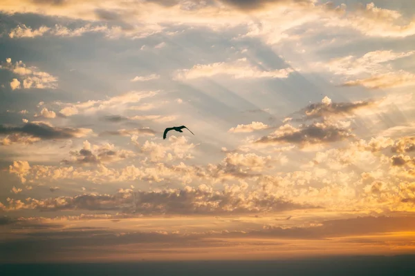 Güzel gün batımı, doğanın güzelliği.