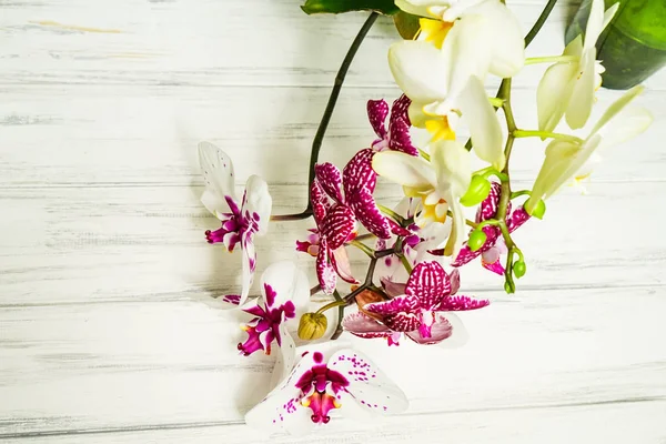 Ahşap beyaz zemin üzerine güzel çiçekler