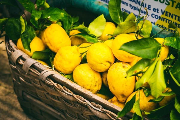 Güzel sulu limon, sarı meyve. — Stok fotoğraf