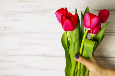 Ahşap beyaz zemin üzerine güzel çiçekler