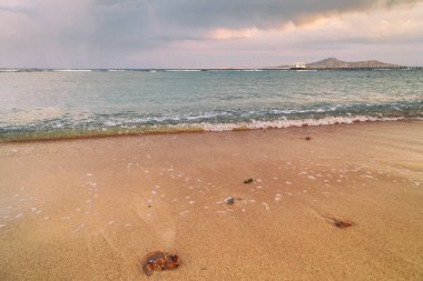 Güzel deniz kıyısında, doğanın güzelliği.
