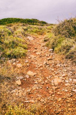 Bir deniz Tema güzel arka plan