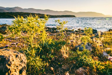 Bir deniz Tema güzel arka plan