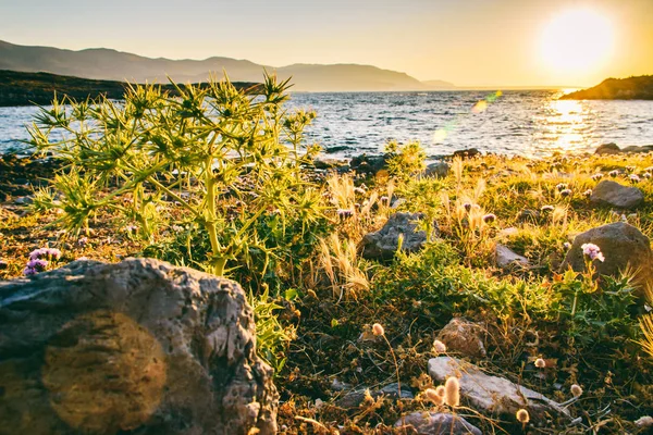 Bir deniz Tema güzel arka plan