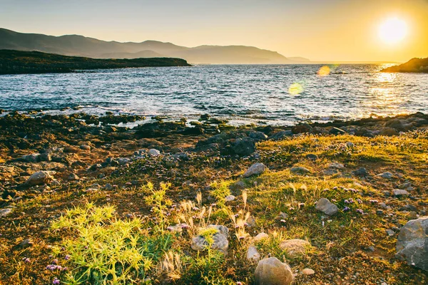 Bir deniz Tema güzel arka plan