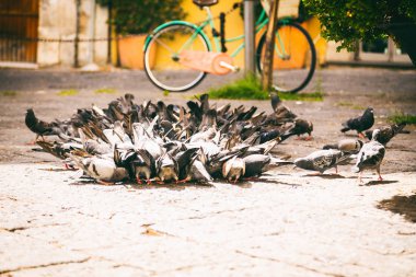 Muhteşem Akdeniz kıyılarında