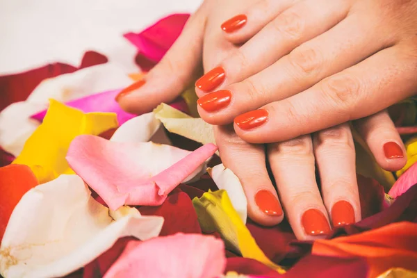 Chic manicure at the spa. — Stock Photo, Image