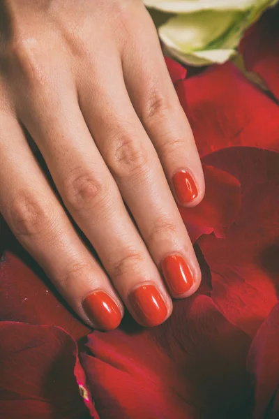 Manicure chique no spa . — Fotografia de Stock