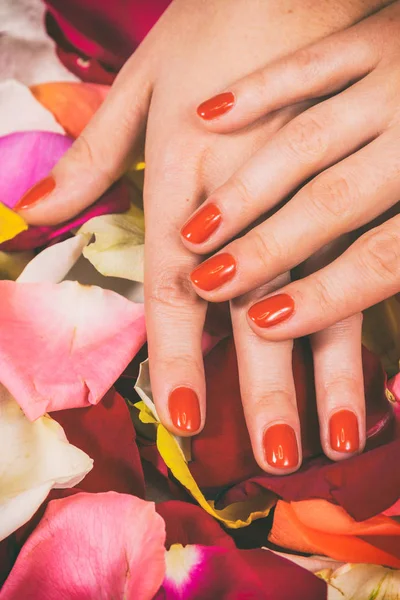 Chic manicure at the spa. — Stock Photo, Image