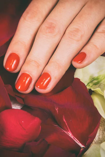 Chic manicure at the spa. — Stock Photo, Image