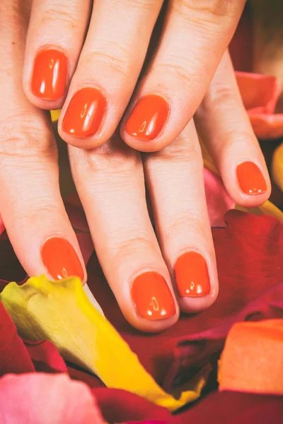 Chic manicure at the spa. — Stock Photo, Image