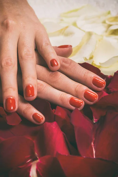 Chic manicure at the spa. — Stock Photo, Image