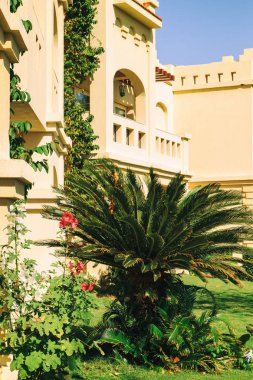 Bahçe ve peyzaj tasarımı. Güzel çiçekler ve çalılar.