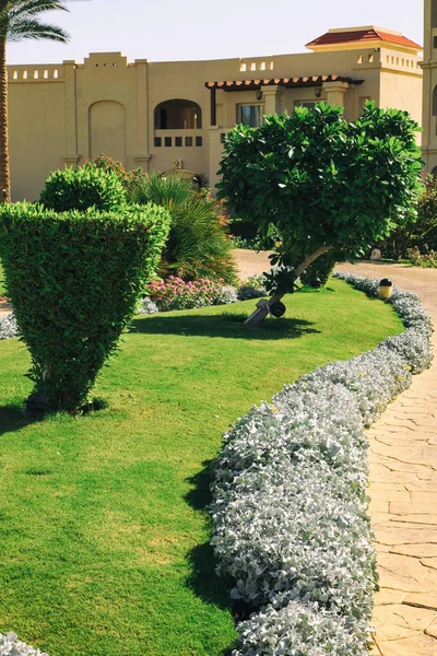 정원 및 조 경 디자인입니다. 아름 다운 꽃과 관목. — 스톡 사진