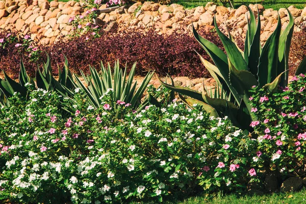 Diseño de jardines y paisajes. Hermosas flores y arbustos . — Foto de Stock