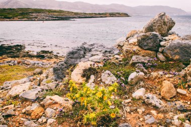 Gün batımında deniz