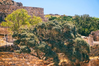 Spinalonga Adası Yunanistan