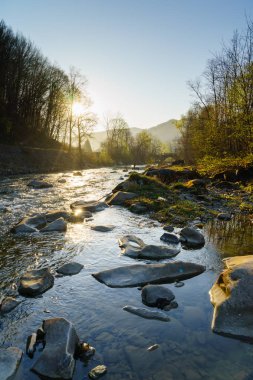 Muhteşem manzara, dağ nehir, yaban hayatı