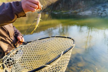 Bir balıkçı tarafından alabalık yakaladı
