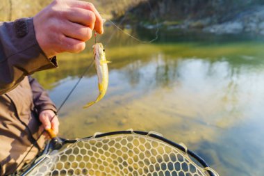 Bir balıkçı tarafından alabalık yakaladı