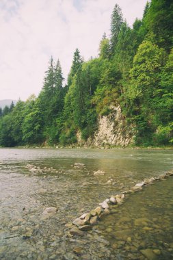 Muhteşem manzara, dağ nehir, yaban hayatı