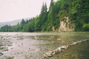 Muhteşem manzara, dağ nehir, yaban hayatı