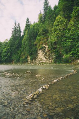 Muhteşem manzara, dağ nehir, yaban hayatı