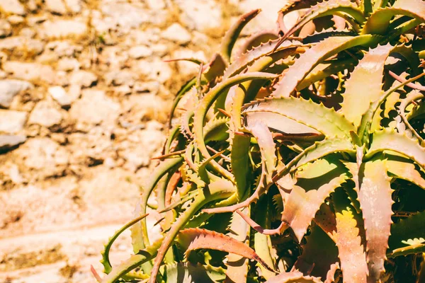 Spinalonga-Insel in Griechenland — Stockfoto