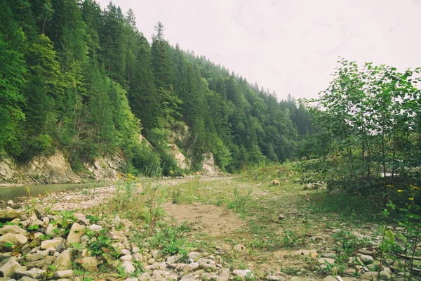 Muhteşem manzara, dağ nehir, yaban hayatı