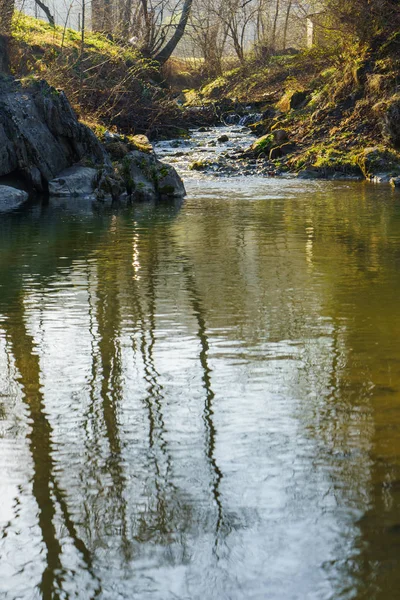 Paisaje magnífico, río de montaña, vida silvestre —  Fotos de Stock