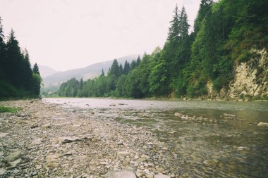 Muhteşem manzara, dağ nehir, yaban hayatı