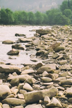 Muhteşem manzara, dağ nehir, yaban hayatı