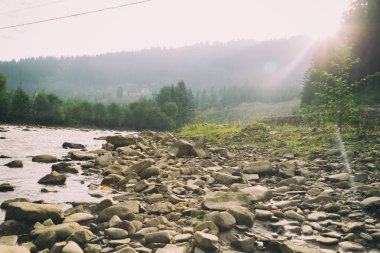 Muhteşem manzara, dağ nehir, yaban hayatı