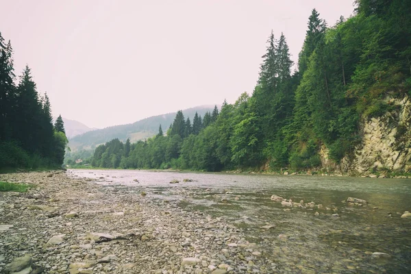 Panorama magnifico, Fiume di montagna, Fauna selvatica — Foto Stock