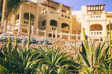 Büyük Bahçe ve peyzaj tasarım