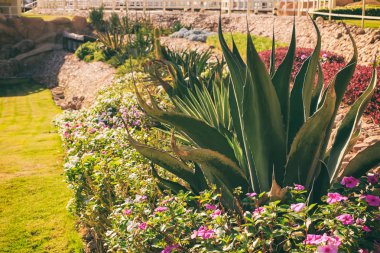 Büyük Bahçe ve peyzaj tasarım