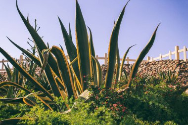 Büyük Bahçe ve peyzaj tasarım