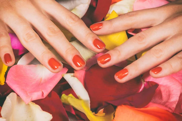 Mains d'une femme avec manucure rouge sur les ongles — Photo