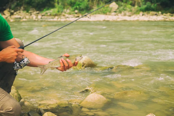 Alabalık balıkçılık bir dağ nehir — Stok fotoğraf