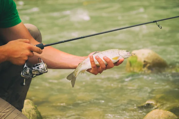 Pesca alla trota in un fiume di montagna — Foto Stock